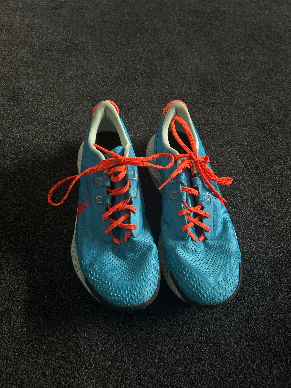 Nike Pegasus Trail 3 GORE-TEX hardloopschoenen, Kleding | Heren, Schoenen, Ophalen, Zo goed als nieuw, Blauw, Sneakers of Gympen