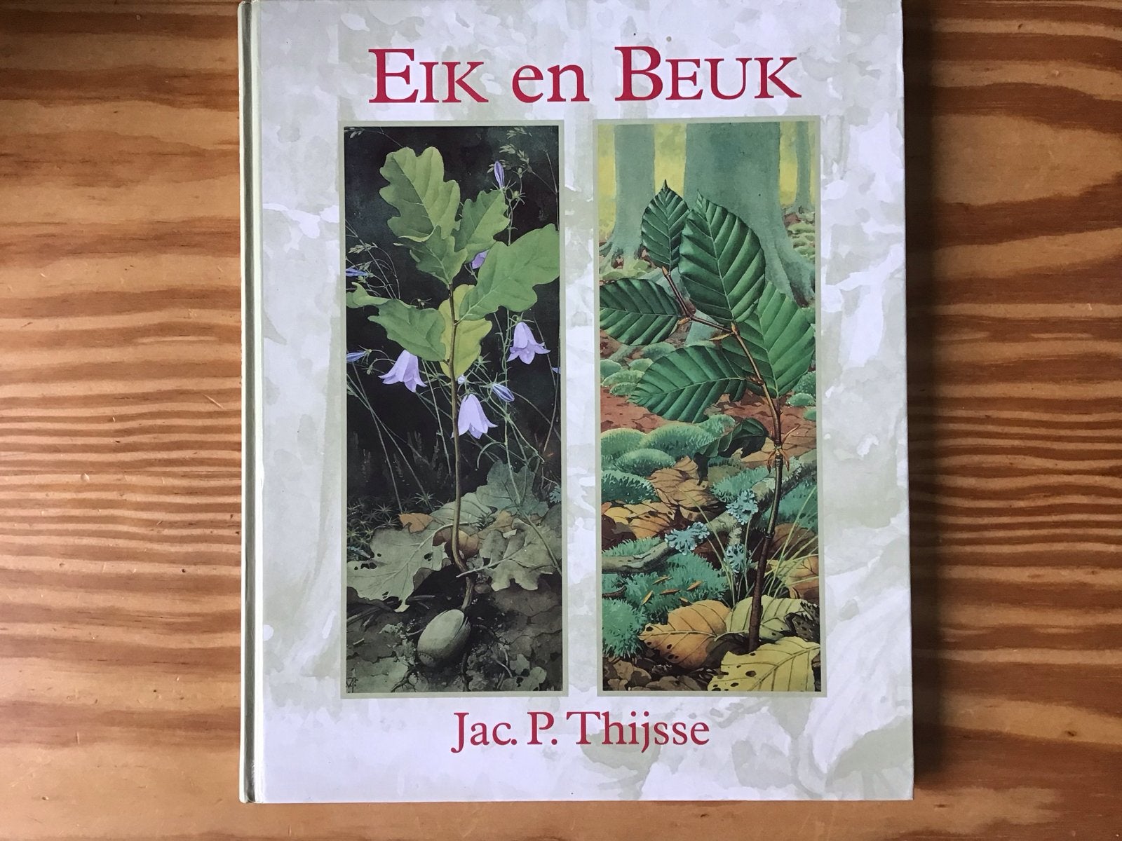 Eik en Beuk - Jac.P.Thijsse (Tuinboek)- Perfecte staat, Boeken, Ophalen, Zo goed als nieuw, Bloemen, Planten en Bomen