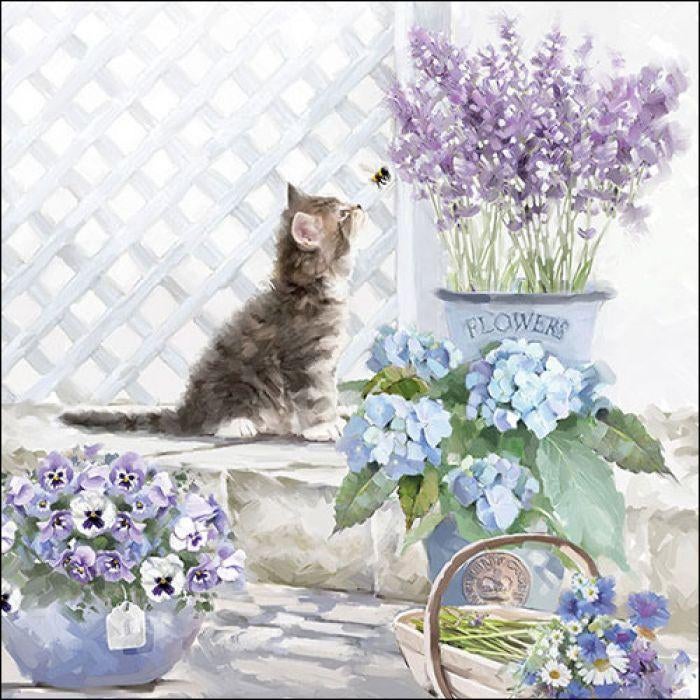 Ambiente servet kitten 33 x 33 cm 13309990, ., Overige typen, Dieren, Nieuw