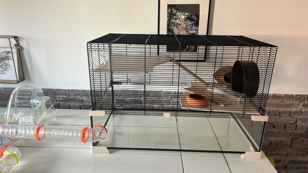 Grote hamsterkooi met uitbreidingsset, Kooi, Gebruikt, Minder dan 75 cm, Hamster