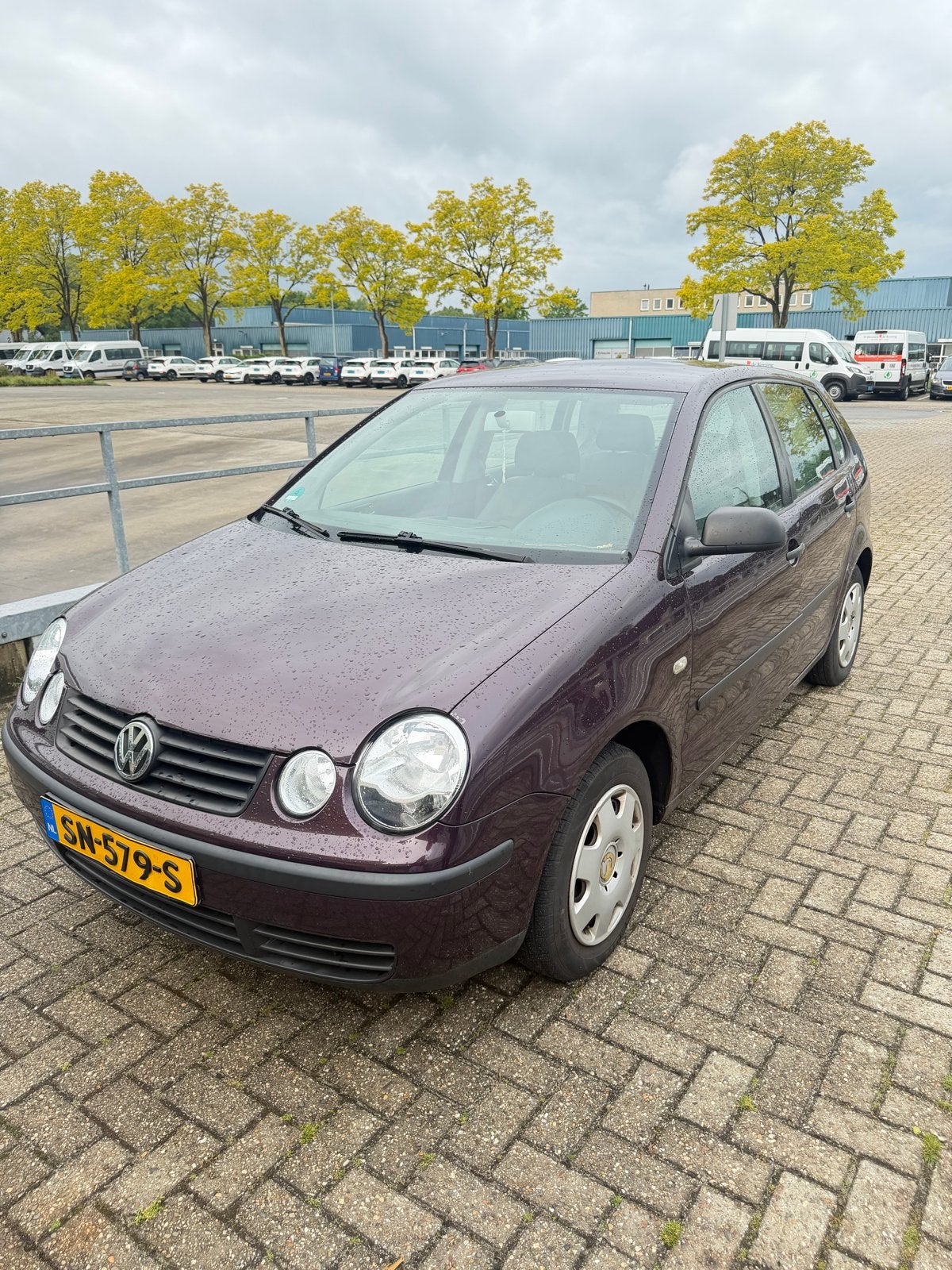 Volkswagen Polo 1.2 (2003) – Bieden– Voor de handige klusser, Auto's, Volkswagen, Bedrijf, Polo, ABS, Airbags, Airconditioning