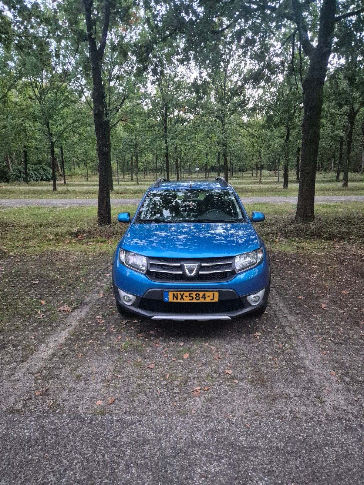 Dacia Sandero 0.9 TCE 66KW Stepway 2013 Blauw, Auto's, Voorwielaandrijving, 898 cc, 31 €/maand, Blauw