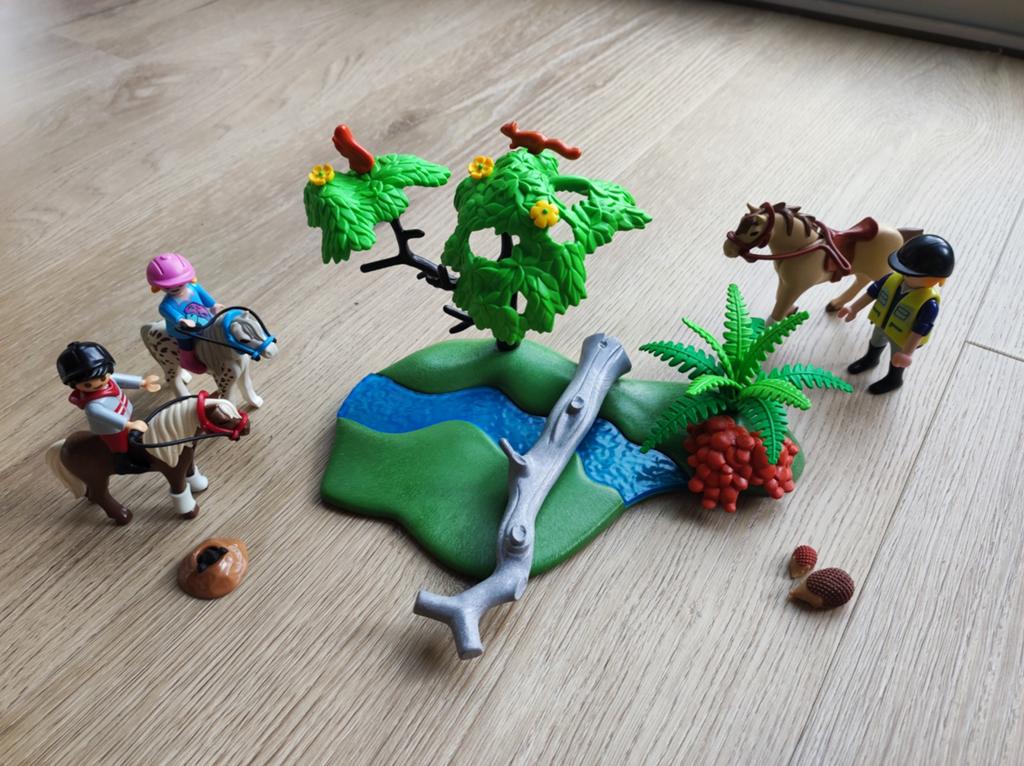 Playmobil Ponyrijles - 6947, Ophalen