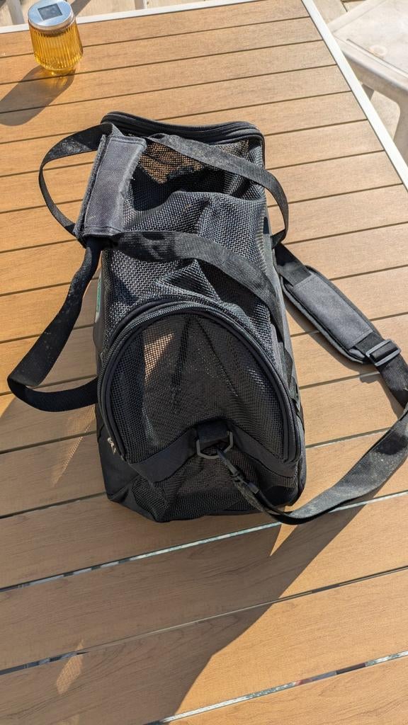 Reistas kat en kleine hond, Ophalen of Verzenden