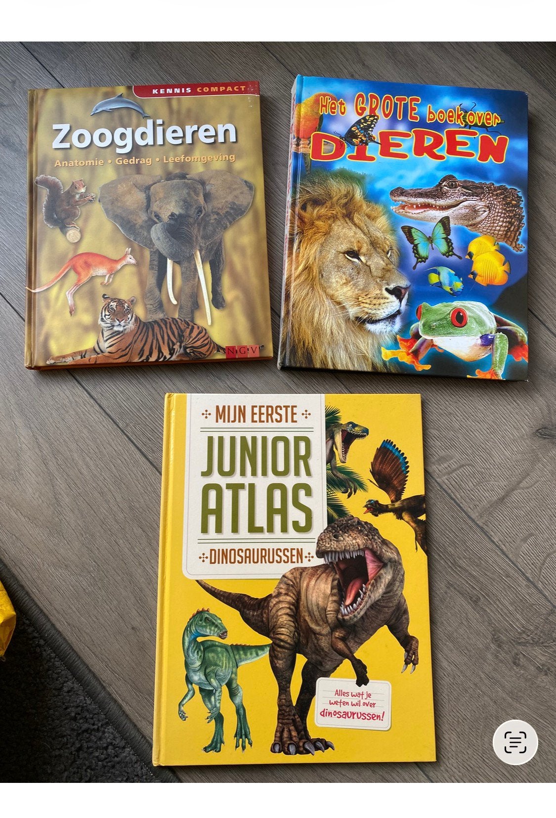 Boeken, Ophalen of Verzenden, Zo goed als nieuw