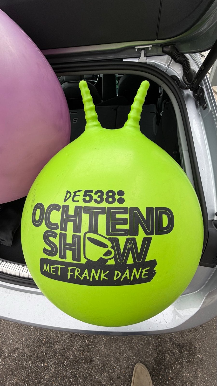 Grote 538 Ochtendshow skippybal - Paars en Groen beschikbaar, Ophalen of Verzenden, Gebruikt