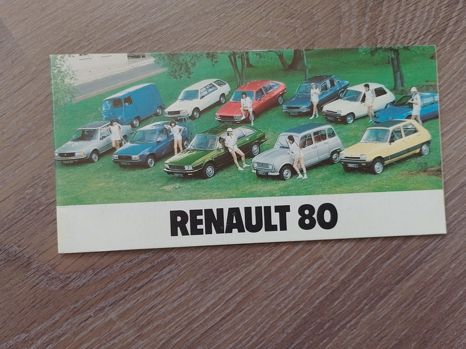 Renault 1980, 4,5,14,16,18,20,30, Alpine, Rodeo, Estafette, Ophalen of Verzenden, Nieuw, Renault