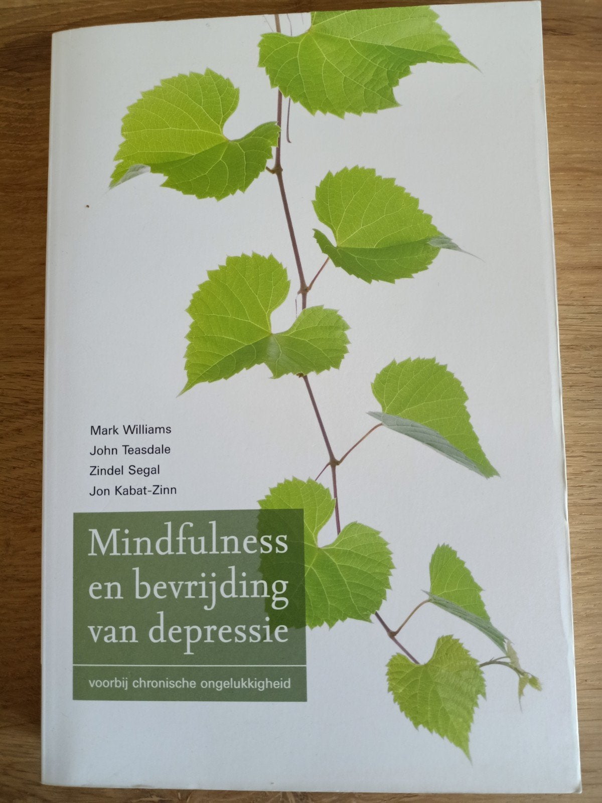 Mindfulness en bevrijding van depressie - Boek, Boeken, Psychologie, Zo goed als nieuw, Klinische psychologie, Ophalen of Verzenden