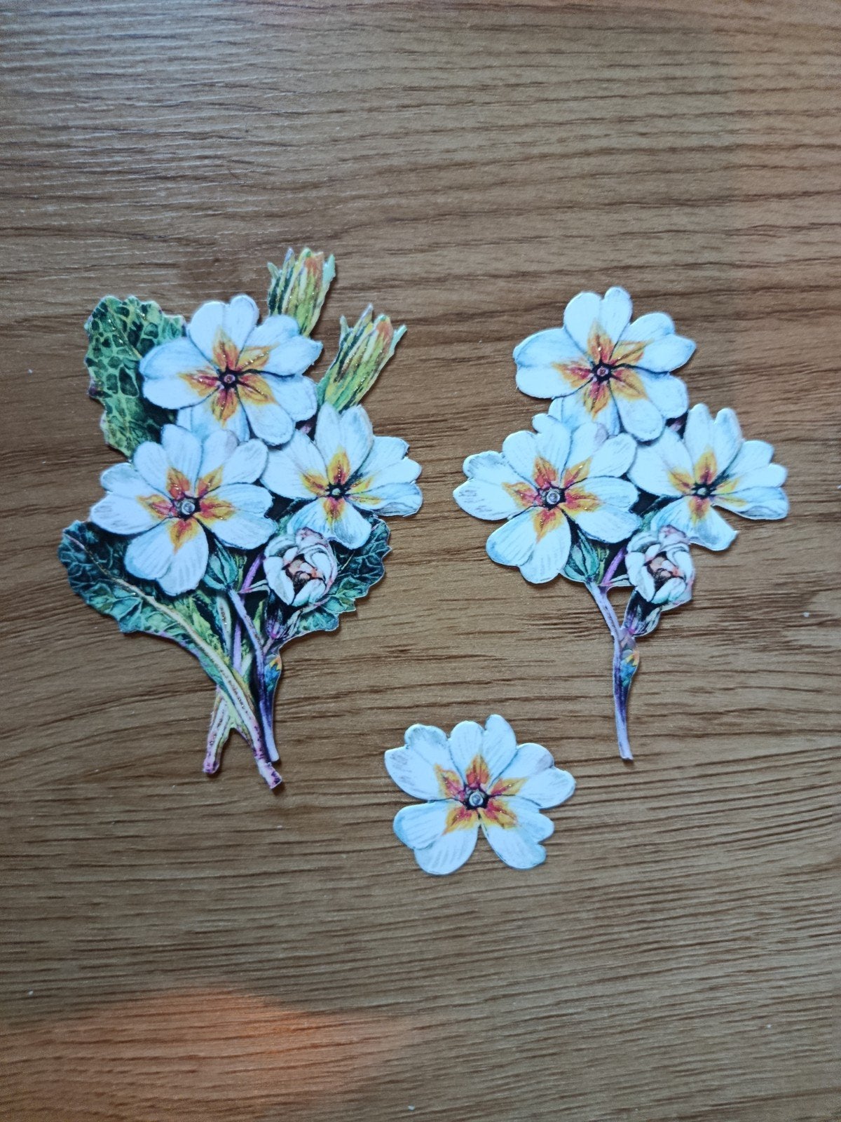 3D plaatjes Bloemen,, Ophalen of Verzenden, Nieuw, Overige thema's, Overige typen