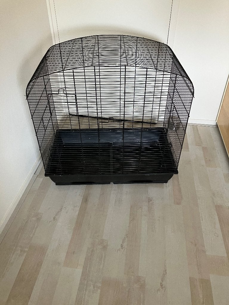 Vogelkooi, Dieren en Toebehoren, Ophalen, Gebruikt, Metaal, Vogelkooi