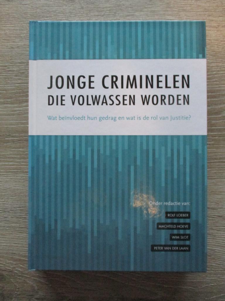 Jonge criminelen die volwassen worden - Rolf Loeber e.a., Ophalen of Verzenden, Gelezen, Nederland
