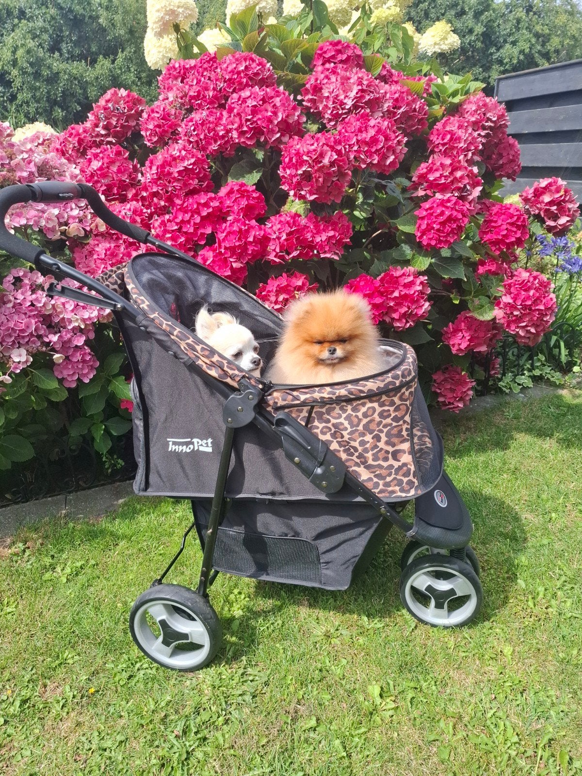 Innopet honden wandelwagen leopart, Dieren en Toebehoren, Ophalen, Zo goed als nieuw