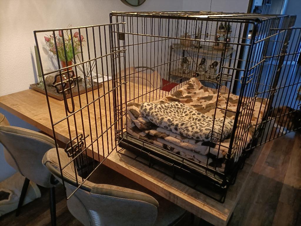 Honden benche, Dieren en Toebehoren, Ophalen, Zo goed als nieuw