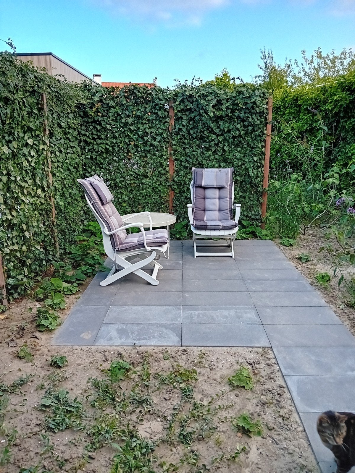 Allibert tuinstoelen  2 stuks, Tuin en Terras, Ophalen, Kunststof