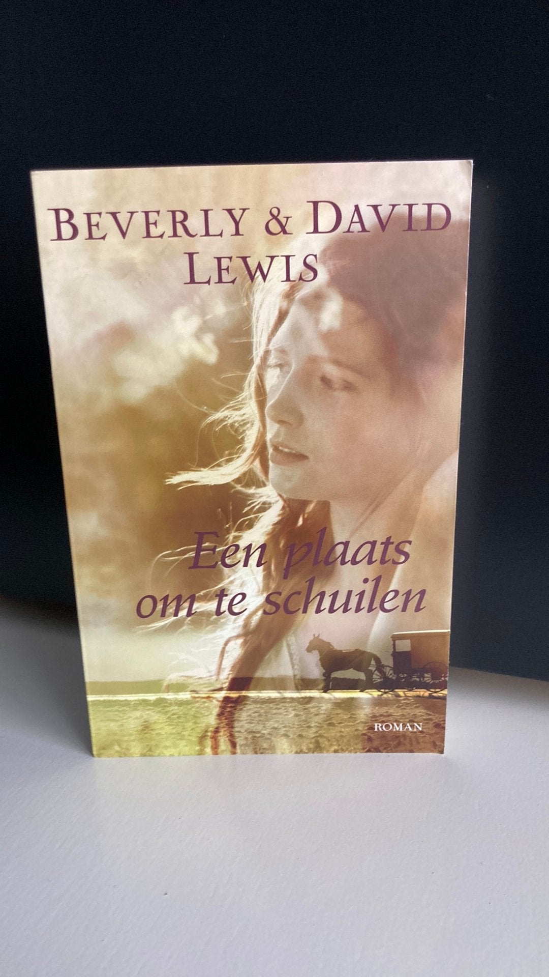 Een plaats om te schuilen van Beverly&David lewis, Boeken, Ophalen of Verzenden, Zo goed als nieuw