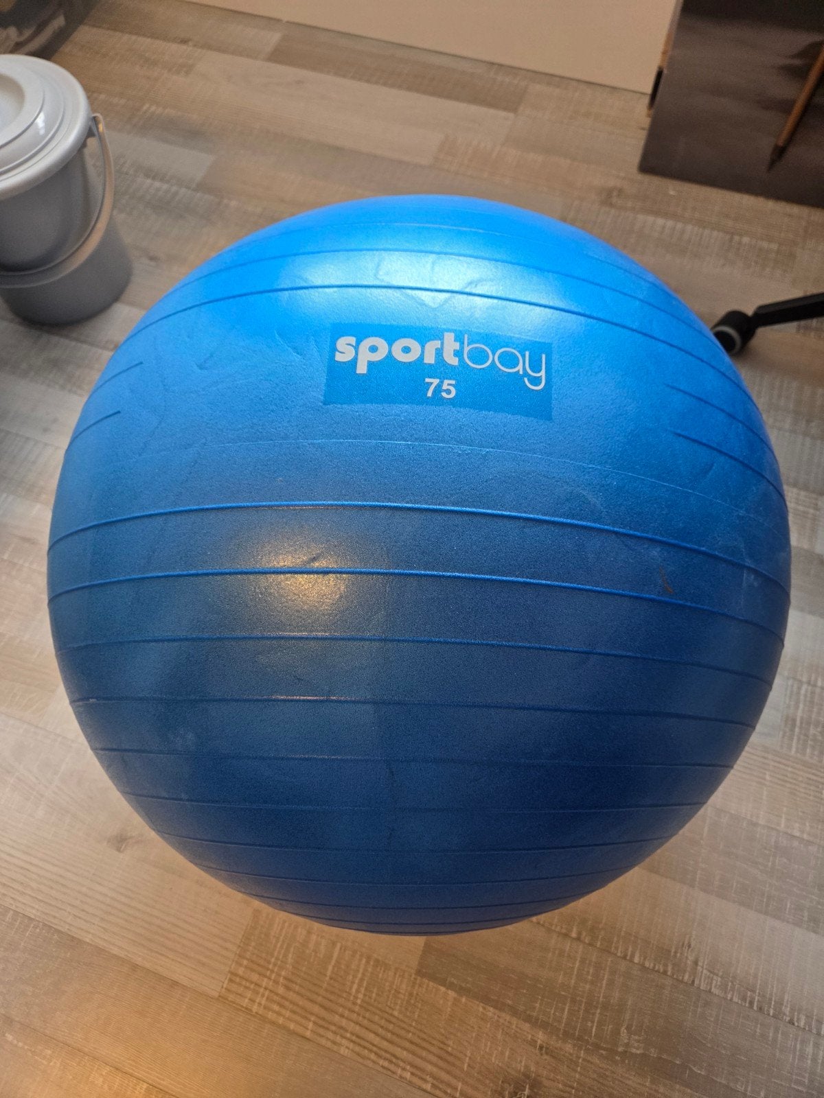 Fitnessbal 2x, Ophalen of Verzenden, Zo goed als nieuw