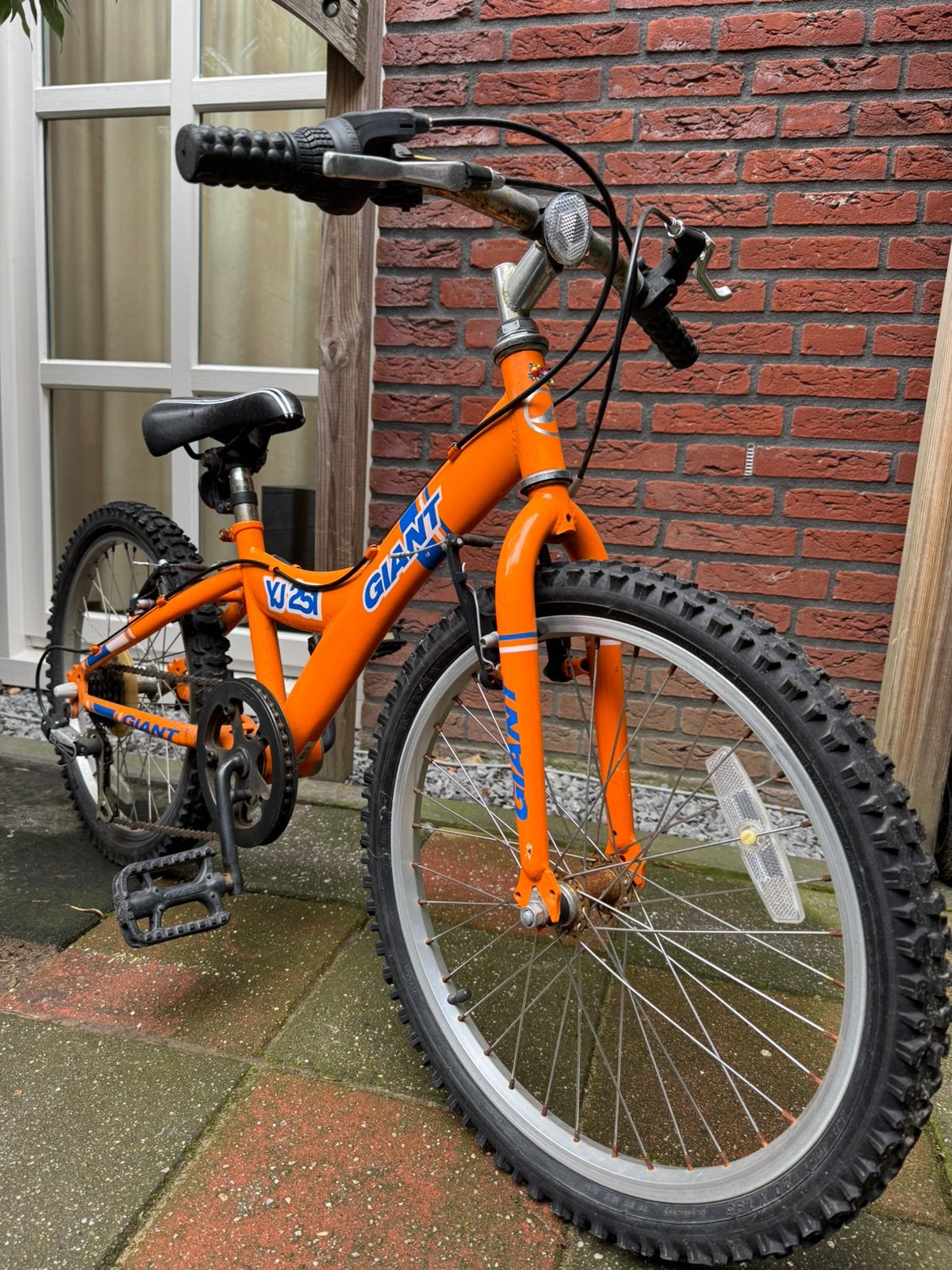 Giant kinderfiets 20inch, Ophalen, Zo goed als nieuw, 20 inch of meer