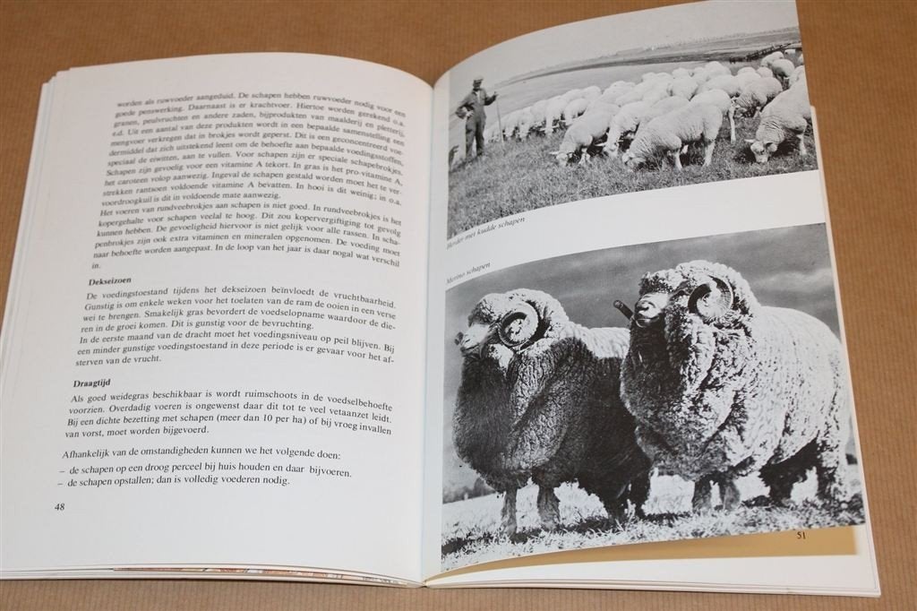Schapen Houden als Liefhebberij — Rassen & Verzorging, Ophalen of Verzenden, Gelezen, Vogels