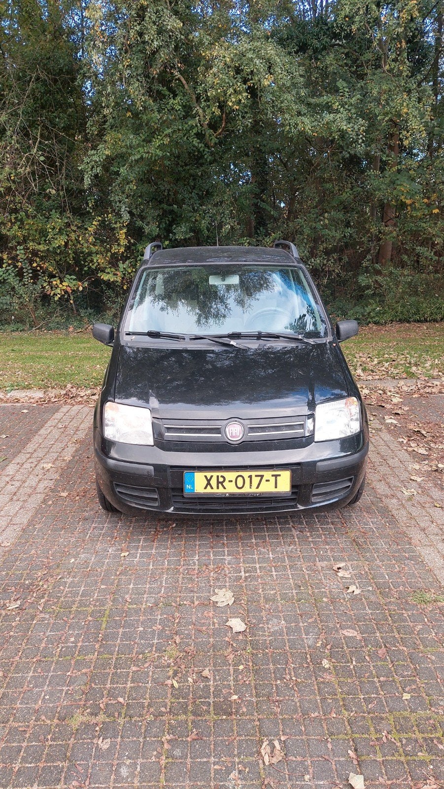 Fiat Panda 1.2 44KW 60PK 2007 Zwart, Voorwielaandrijving, Airconditioning, Zwart, Handgeschakeld