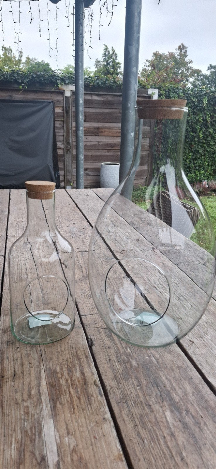 Terrarium Vazen - Set van 2 (52 cm & 35 cm), Ophalen