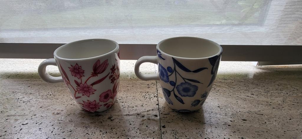 Douwe egberts koffiekopjes hylper hermitage, Huis en Inrichting, Keuken | Servies, Nieuw, Ophalen of Verzenden, Overige stijlen