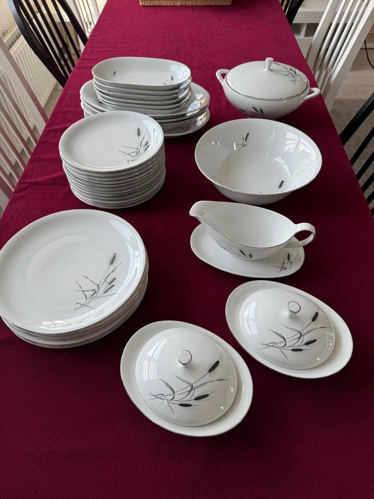 Compleet Bavaria Winterling servies uit 1920 - Zeer netjes, Ophalen of Verzenden, Zo goed als nieuw, Overige stijlen, Porselein