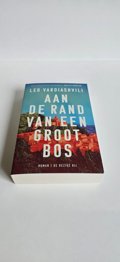 2boeken 10%korting bij 3boeken of meer 20%korting, Leo Vardiashvili, Ophalen of Verzenden, Zo goed als nieuw