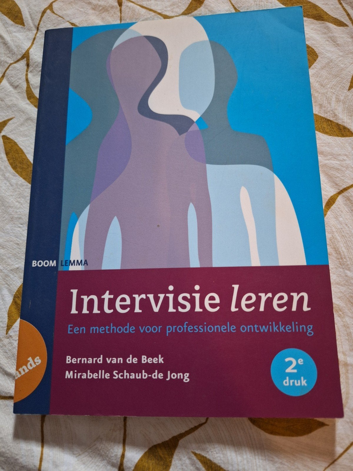 Intervisie leren - Methode voor professionele ontwikkeling, Bernard van de Beek, Mirabelle Schaub-de Jong, Zo goed als nieuw, Gamma