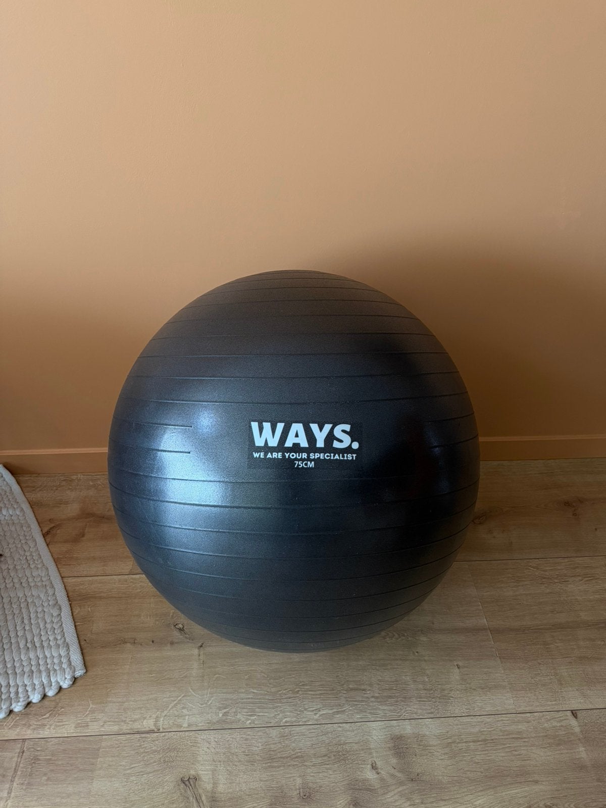 Zwangerschapsbal / fitnessbal, Ophalen of Verzenden, Zo goed als nieuw, Fitnessbal