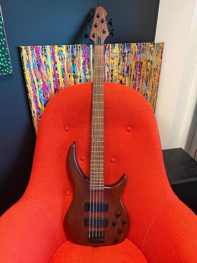 Peavey Cirrus 5 string Walnut met USA Cirrus preamp, Ophalen, Gebruikt, Elektrisch, 5-snarig
