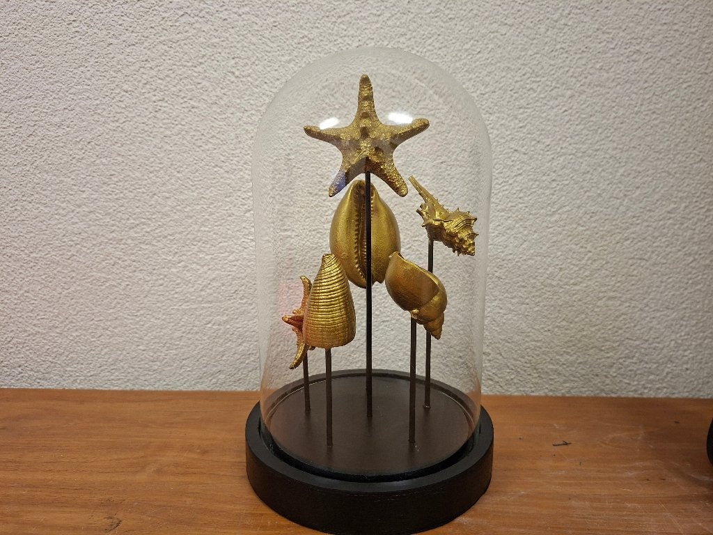 Glazen stolp met gouden schelpen - 27.5 cm hoog, Ophalen of Verzenden, Gebruikt