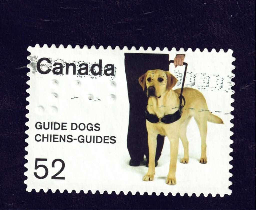 Fauna - Honden - Canada - 52 ct - Blinde-geleidehond (3), Ophalen of Verzenden, Gestempeld, Dier of Natuur