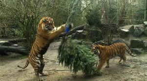 € 4,50 korting per persoon entree Burgers Zoo Arnhem, Tickets en Kaartjes, Drie personen of meer, Kortingskaart