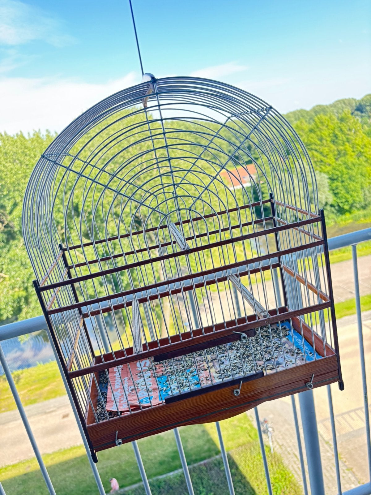 surinaamse vogelkooi met zangkanarie, Dieren en Toebehoren, Ophalen, Zo goed als nieuw, Metaal, Vogelkooi