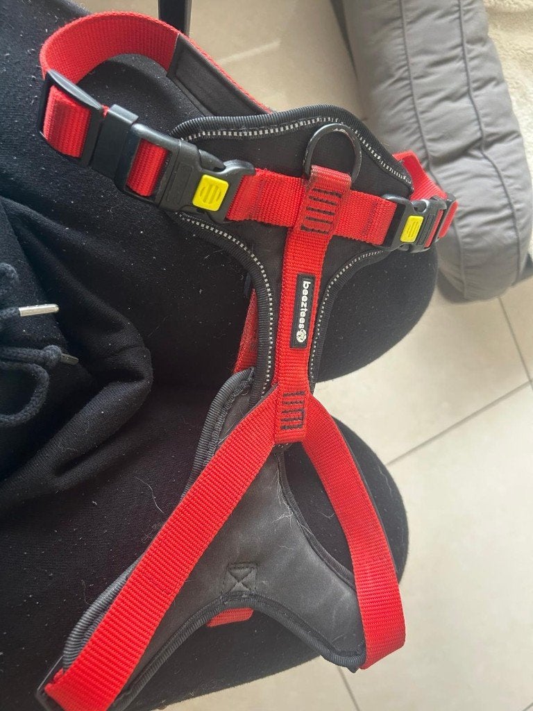 Tuig, rood BEEZTEES, maat M, Dieren en Toebehoren, Ophalen of Verzenden, Gebruikt