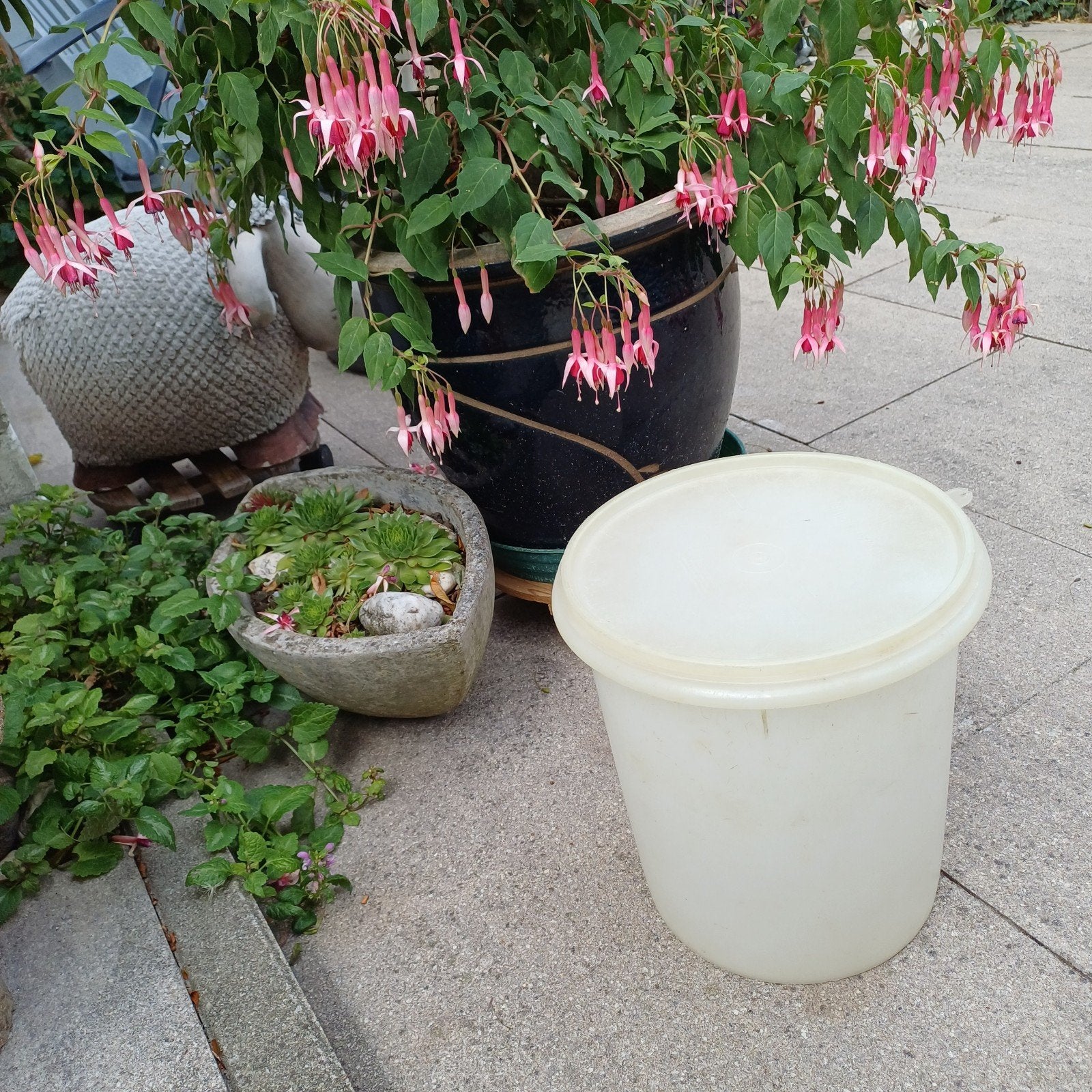Tupperware wasemmer, Ophalen of Verzenden