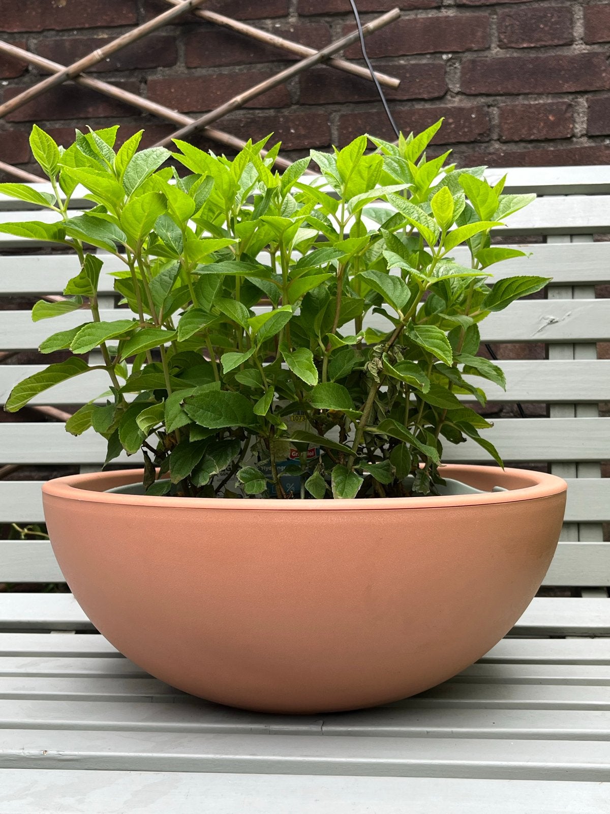 Grote kunststof plantenbak / minivijver - Nieuw, Kunststof, Minder dan 30 cm, Minder dan 60 cm, Rond