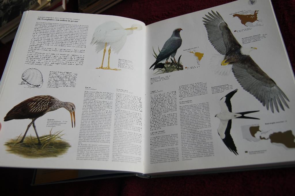 Elseviers vogelatlas, Boeken, Ophalen of Verzenden, Gelezen, Vogels