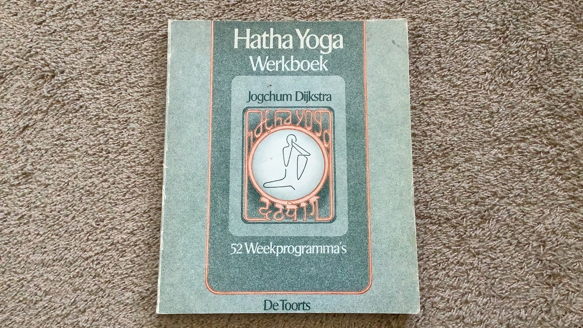 Hatha Yoga Werkboek, Jogchum Dijkstra. 52 weekprogramma’s, Meditatie of Yoga, Ophalen of Verzenden, Zo goed als nieuw, Instructieboek