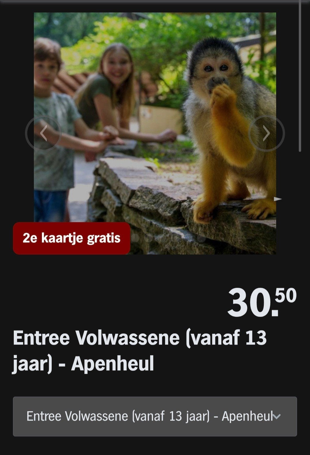 APENHEUL ♡ 2e kaartje gratis (AH SPAARKAARTEN), Tickets en Kaartjes, Recreatie | Dierentuinen, Overige typen