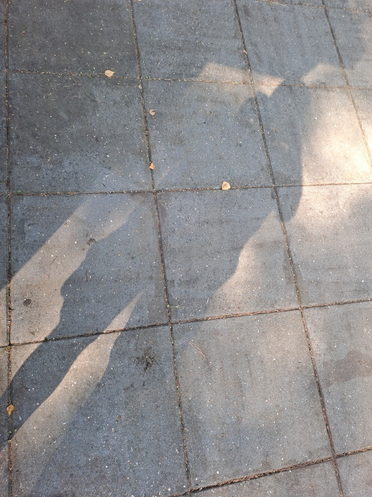 antraciet  tegels, Ophalen, Beton, Terrastegels