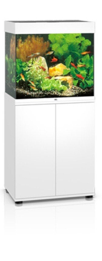 Aquarium incl maanvissen, Ophalen, Inclusief toebehoren, Juwel, Gevuld zoetwateraquarium