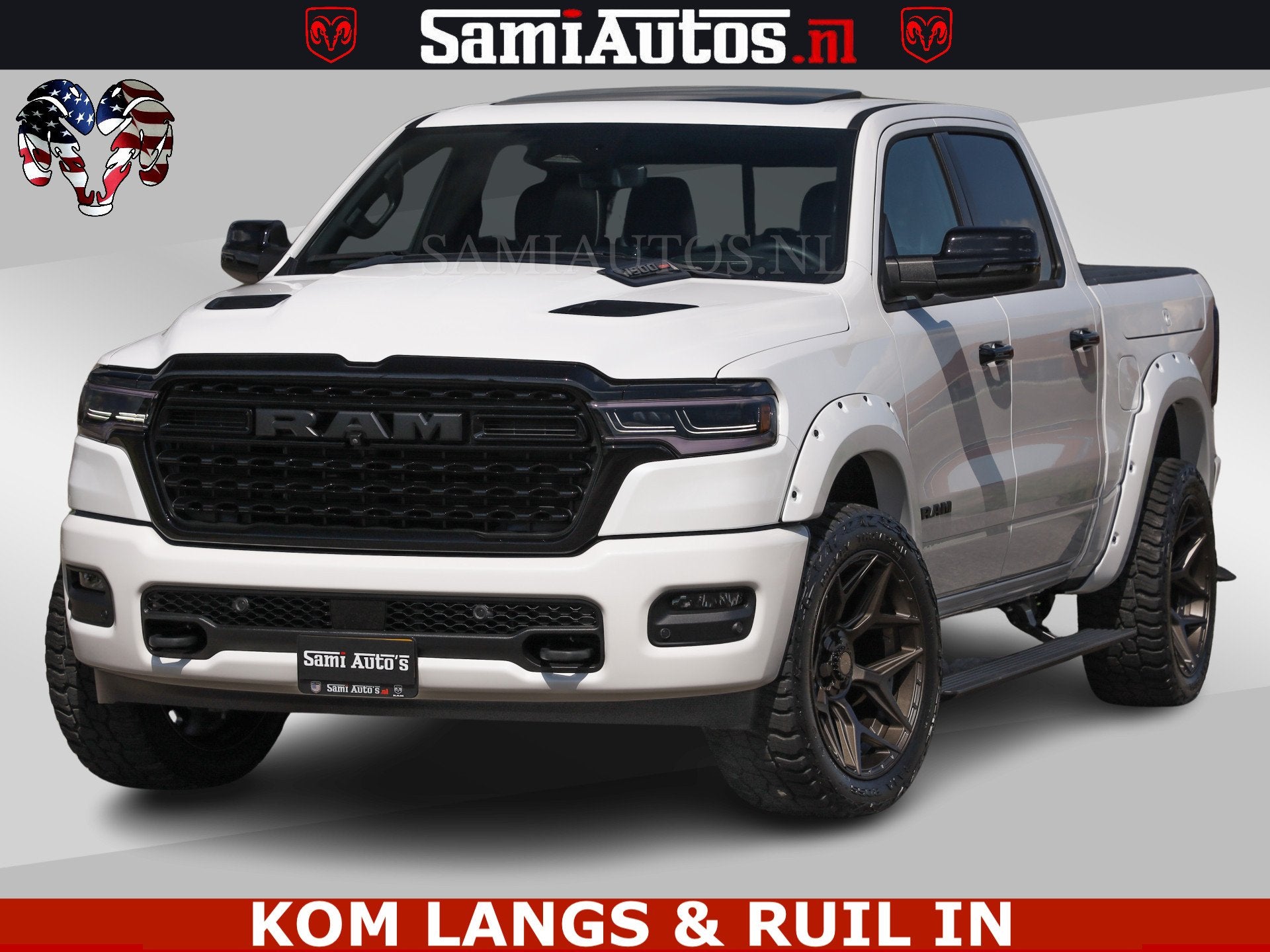 Dodge Overige Modellen