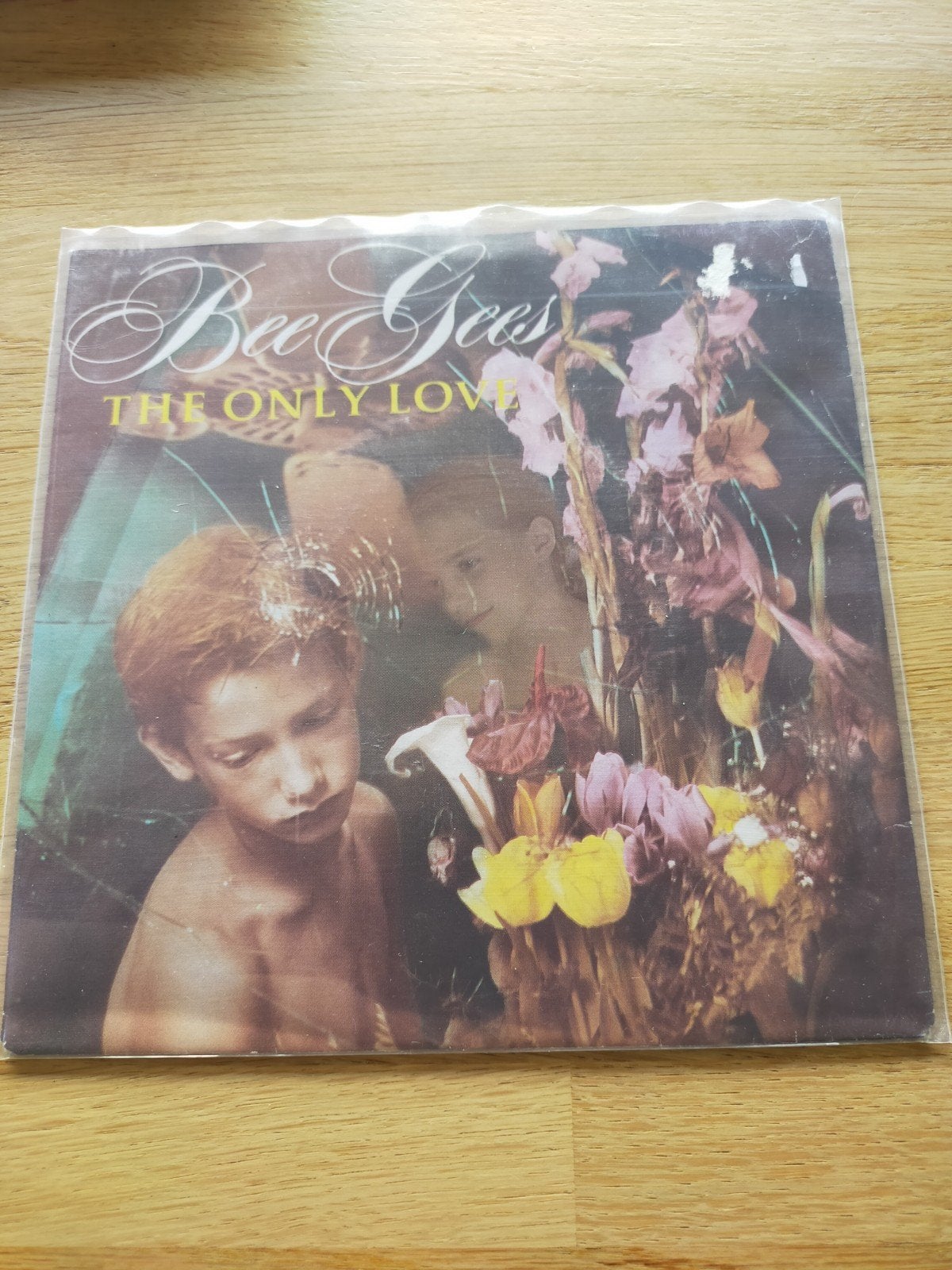 Bee Gees , the only love, Ophalen of Verzenden, Zo goed als nieuw, Pop