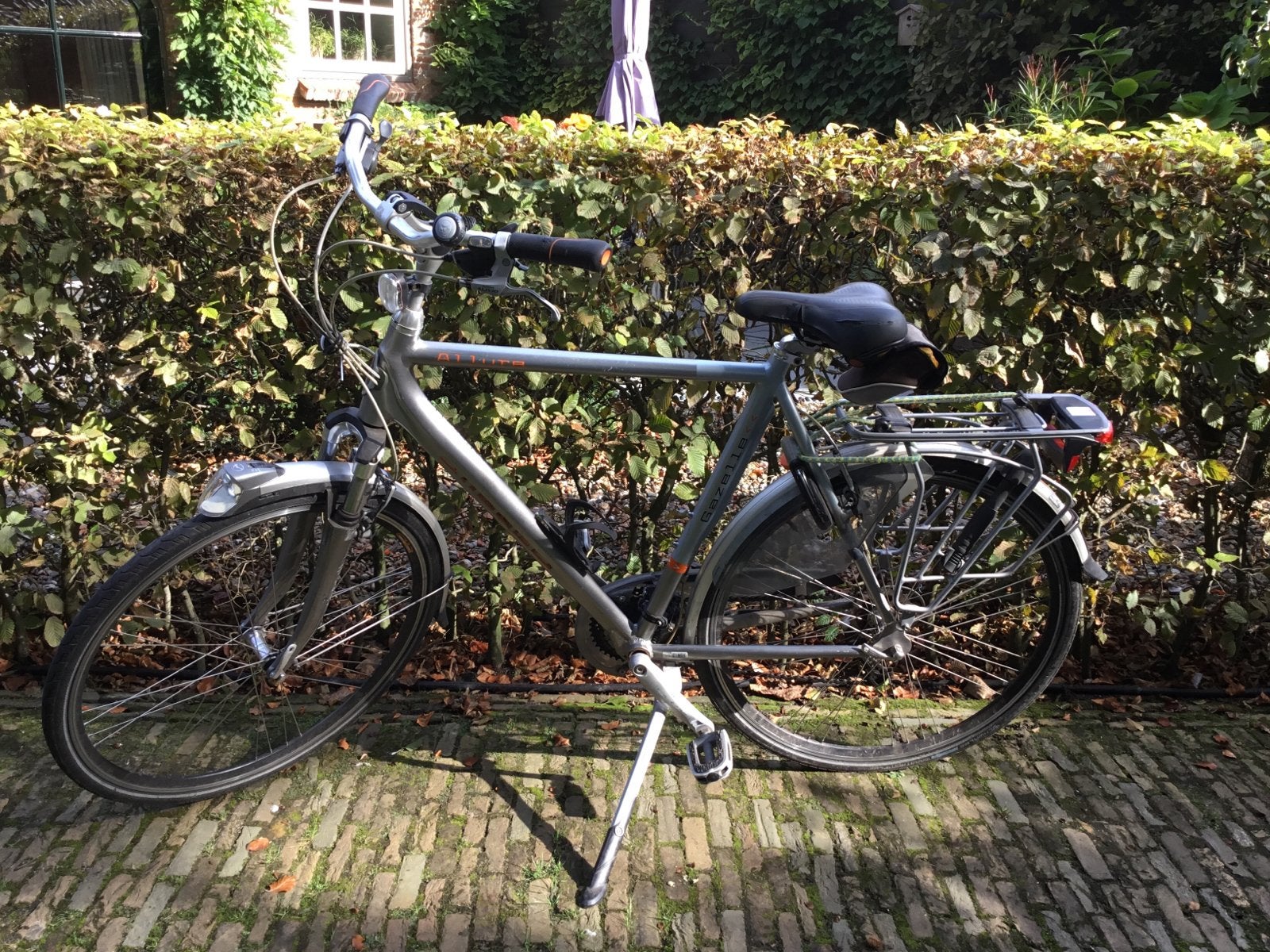 Foto 3 van Gazelle Damesfiets en herenfiets. Comfortabel en Betrouwbaar