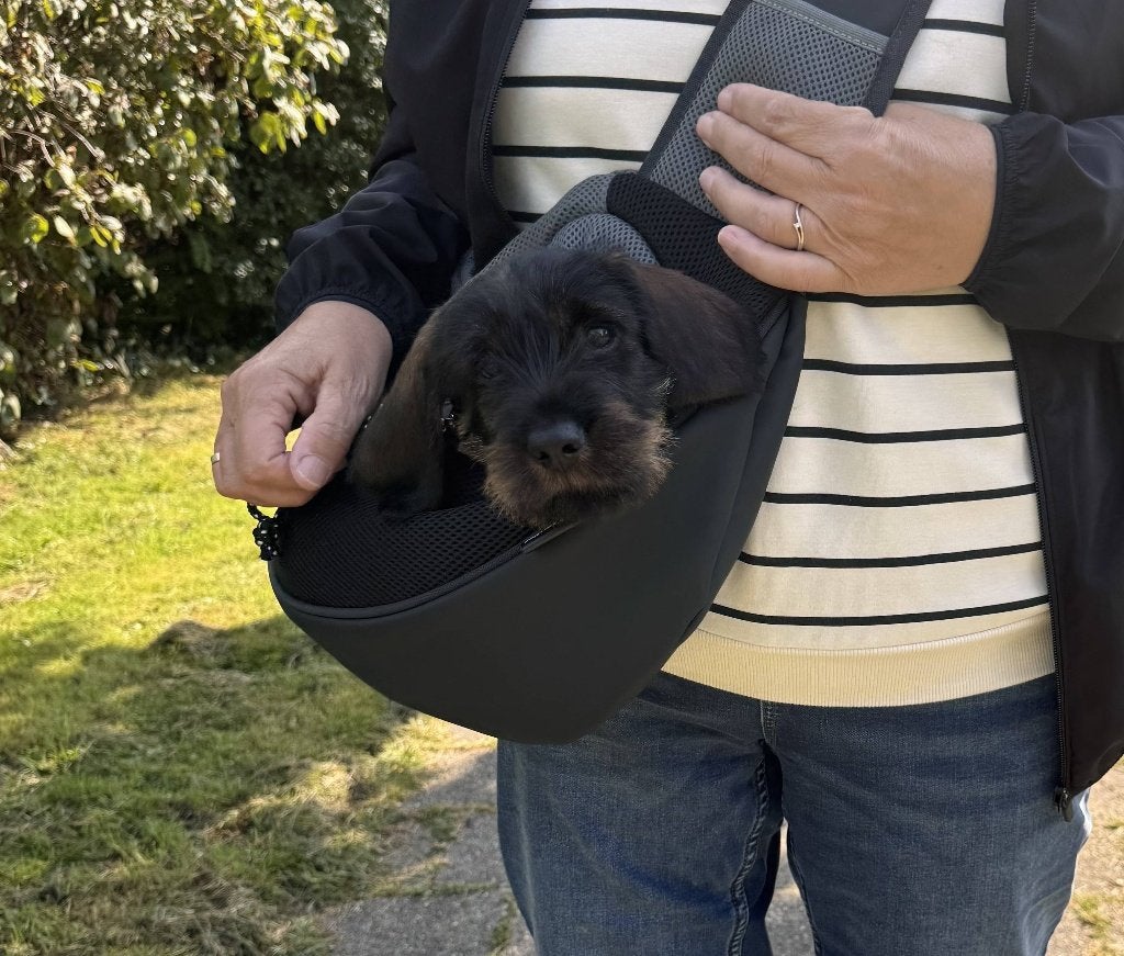 Paws hondendraagzak (sling) – comfortabel & verstelbaar, Overige merken, Ophalen, Zo goed als nieuw, Draagtas/-zak