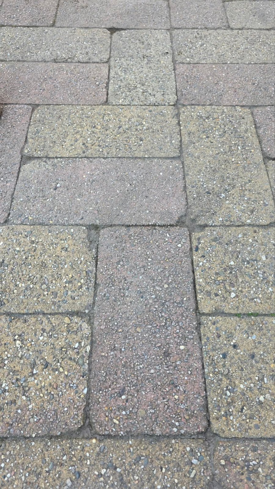 90 m^2 Cobblestones 21x42x8cm Algarve (terra melange), Ophalen, Gebruikt, 10 m² of meer, Beton