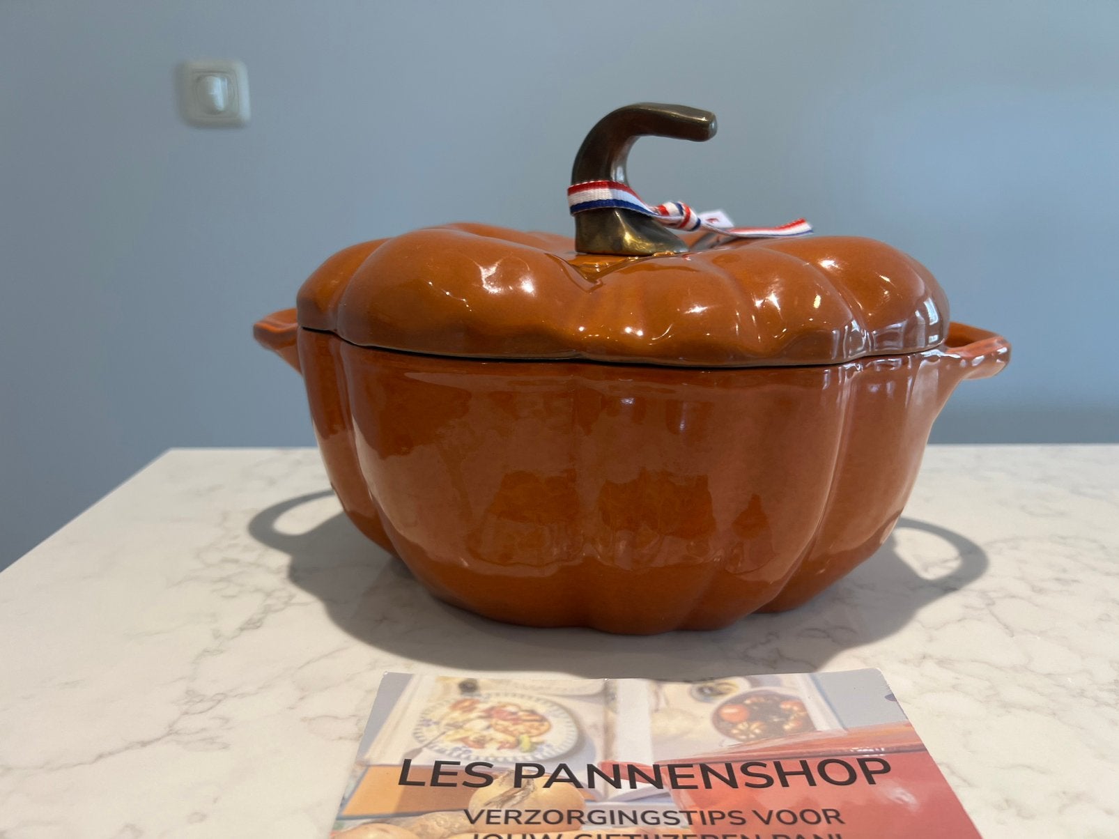 Nieuwe Staub pompoen 24 cm Kaneel., Met handvatten, Nieuw, Ophalen of Verzenden, Staub