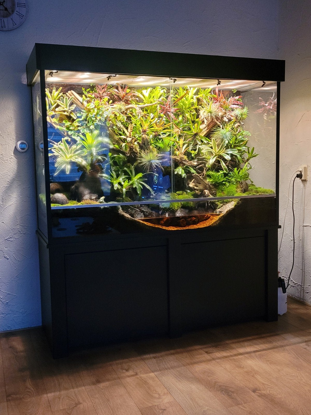 Laatste week in de verkoop. paludarium compl, Ophalen, Zo goed als nieuw, Terrarium of Paludarium
