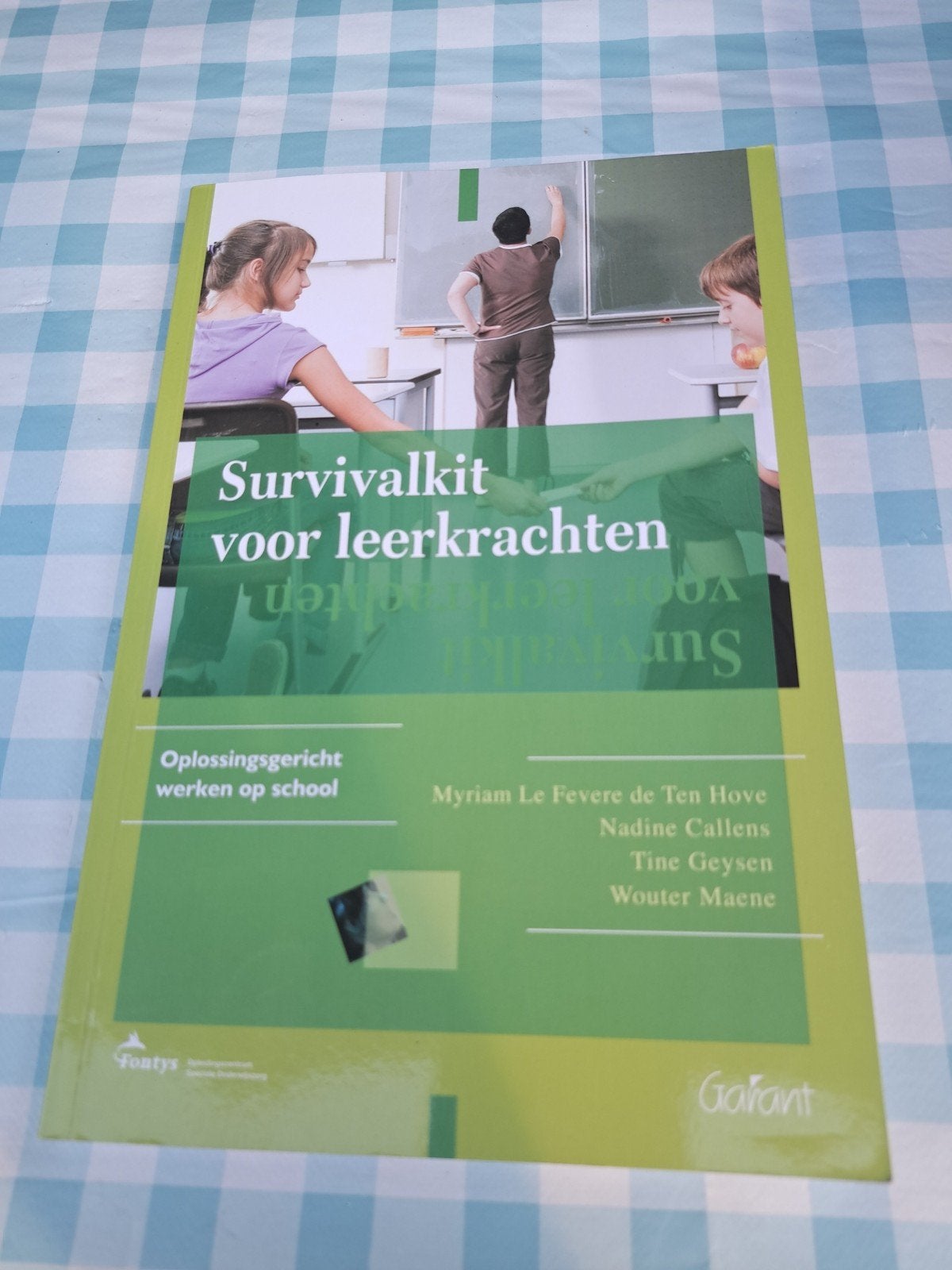 B1 Survivalgids voor leerkrachten: Oplossingsgericht werken, Ophalen of Verzenden, Zo goed als nieuw, Overige niveaus, Overige vakken